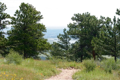 A scenic view of a dirt path leading through green grass and trees, overlooking a distant landscape and water.