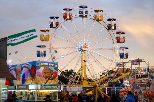 alt