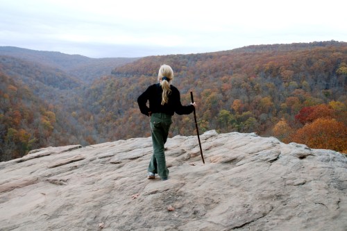 A person stands on a rocky ledge, overlooking a valley filled with autumn-colored trees.