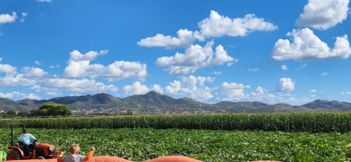 A tractor in a lush green field with mountains and a blue sky filled with fluffy clouds in the background.