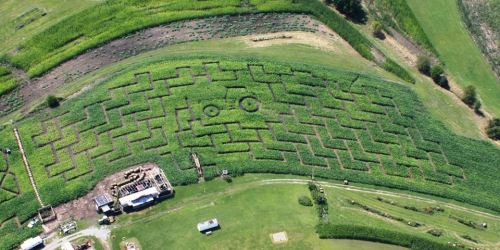 Aerial view of a corn maze with intricate pathways and patterns, surrounded by green fields and a small building below.