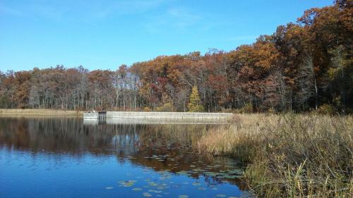 A serene lake surrounded by autumn trees, with a wooden dock and clear blue sky reflecting on the water.
