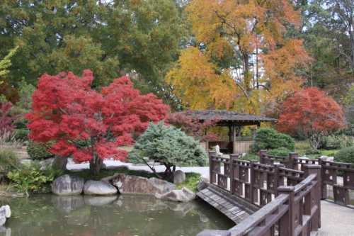 A serene garden scene featuring vibrant red and orange trees, a wooden bridge, and a gazebo by a tranquil pond.