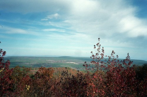 A panoramic view of a lush landscape with rolling hills and colorful autumn foliage under a blue sky.