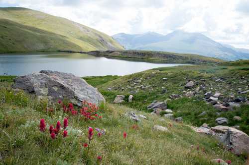 A serene landscape featuring a lake surrounded by green hills and rocky terrain, with vibrant red flowers in the foreground.