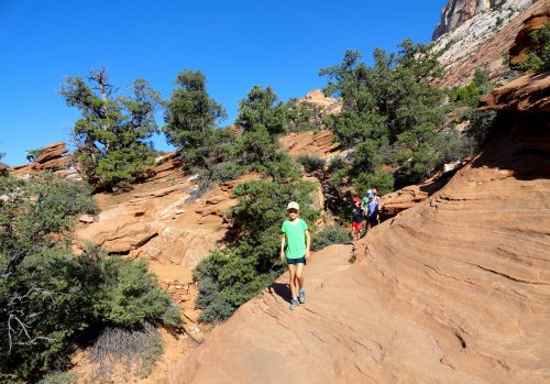 A hiker in a green shirt walks along a rocky trail surrounded by trees and red rock formations under a clear blue sky.