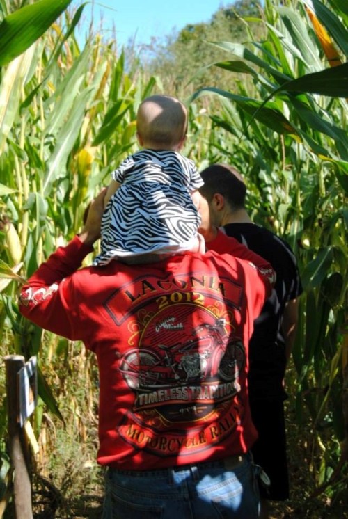 A person carries a baby on their shoulders while walking through a cornfield, with another person nearby.