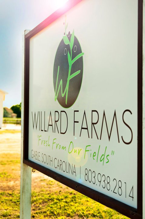 Sign for Willard Farms in Gable, South Carolina, featuring the slogan "Fresh From Our Fields" and contact information.