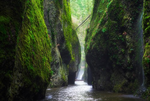 A serene canyon with lush green moss-covered walls and a calm river flowing through the center.