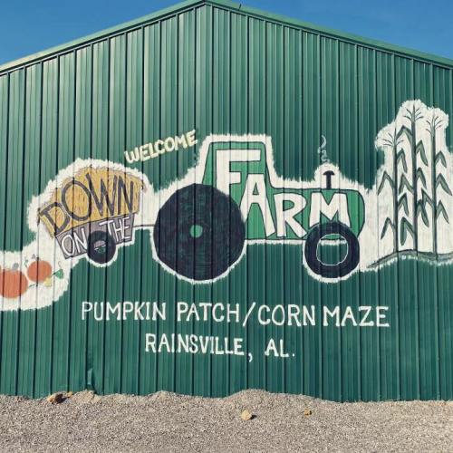 Mural on a green barn featuring a tractor and text about a pumpkin patch and corn maze in Rainsville, AL.