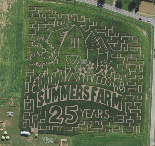 Aerial view of a corn maze celebrating 25 years of Summers Farm, featuring a house, tractor, and floral designs.