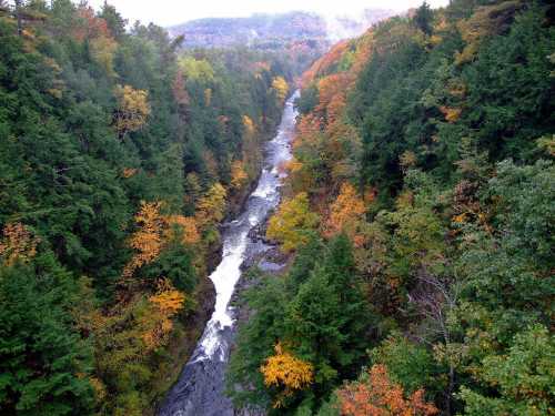 A winding river flows through a vibrant forest of autumn-colored trees. Misty mountains rise in the background.