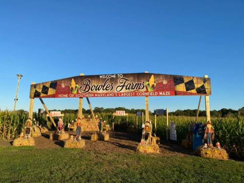 Sign for Bowles Farms, featuring a corn maze, with scarecrows and a clear blue sky in the background.