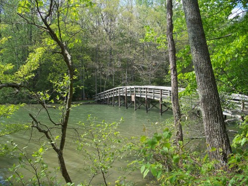 A wooden bridge spans a calm, green river, surrounded by lush trees and foliage in a serene natural setting.