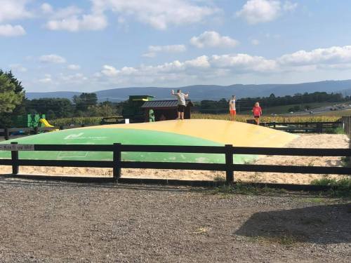 Children playing on a large inflatable bounce pad in a sunny outdoor setting with green hills in the background.