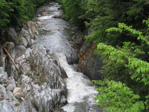 A winding river flows through rocky terrain, surrounded by lush green trees.