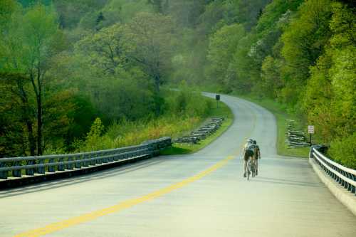 Two cyclists ride along a winding road surrounded by lush green trees and hills.