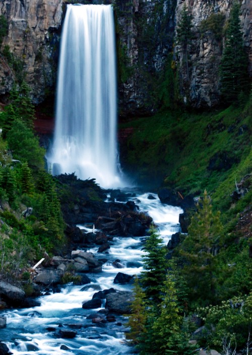 A majestic waterfall cascades down rocky cliffs into a serene river, surrounded by lush greenery and tall trees.