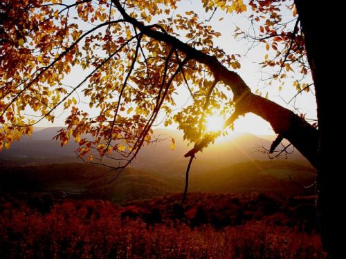 Sunset through autumn leaves, casting warm light over rolling hills and a serene landscape.