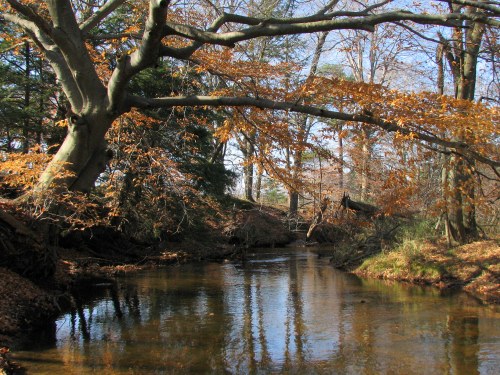 A serene river flows through a forest with autumn leaves and trees reflecting on the water's surface.