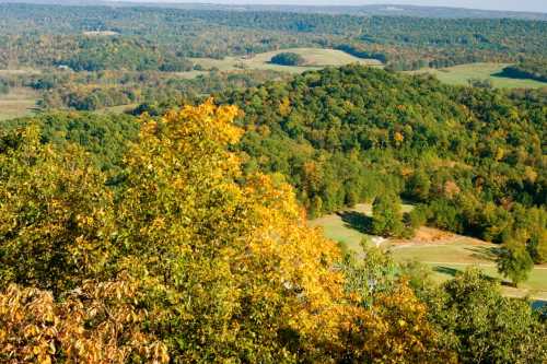 A scenic view of rolling hills and trees in autumn colors, with a clear blue sky above.