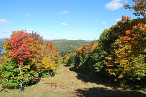 A scenic view of a hillside with vibrant autumn foliage and a clear blue sky in the background.