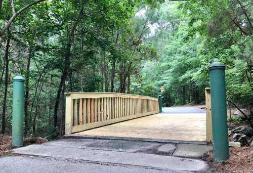 A wooden bridge spans a small path, surrounded by lush green trees and foliage.