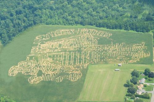 Aerial view of a corn maze shaped like a large farm vehicle, surrounded by green fields and trees.