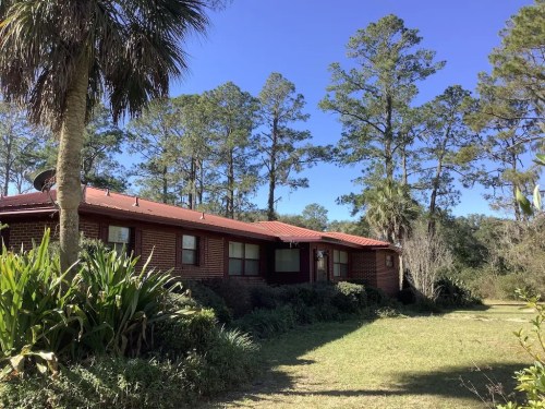 A rustic house with a red roof surrounded by tall trees and lush greenery under a clear blue sky.