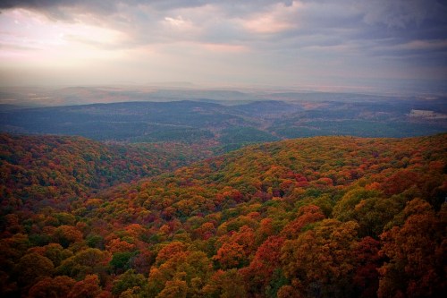 A panoramic view of rolling hills covered in vibrant autumn foliage under a cloudy sky.