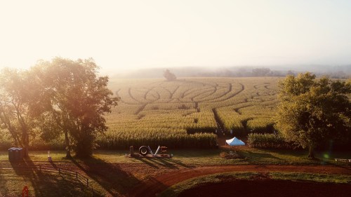 Aerial view of a corn maze in a field, surrounded by trees, with a tent and equipment in the foreground. Morning light.