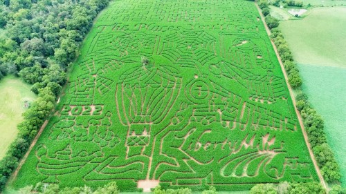 Aerial view of a large corn maze featuring designs like a hot air balloon and the text "The Places You'll Go."