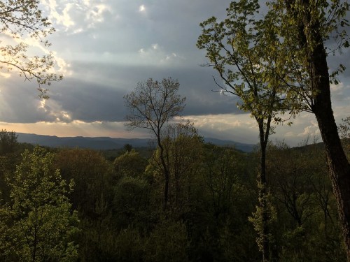 A scenic view of a forest with trees, mountains in the distance, and a cloudy sky illuminated by soft sunlight.