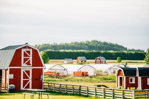 A scenic farm landscape featuring red barns, green fields, and distant trees under a clear sky.