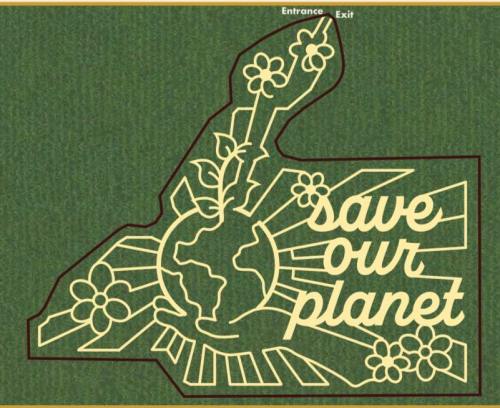 Illustration of Earth surrounded by flowers and rays, with the text "save our planet" prominently displayed.