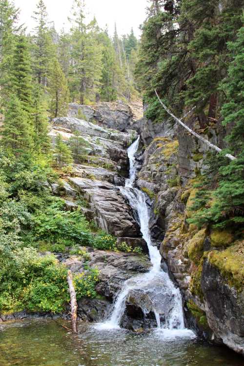 A serene waterfall cascading down rocky terrain, surrounded by lush green trees and foliage.