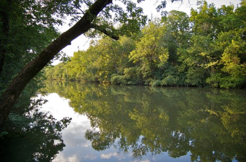 A serene river scene surrounded by lush green trees, reflecting the foliage on calm water under a cloudy sky.
