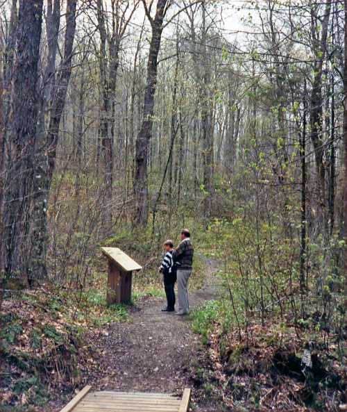 Two people stand on a forest path, looking at an information sign surrounded by trees and greenery.