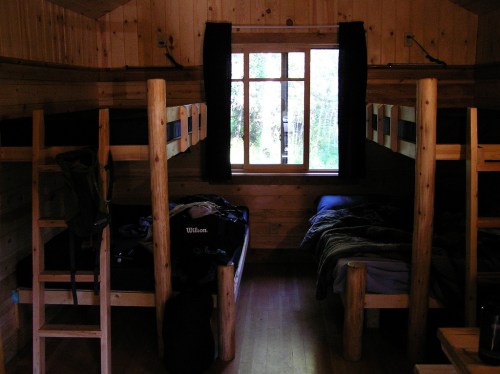 A cozy wooden cabin interior with two bunk beds and a window, surrounded by natural light and greenery outside.