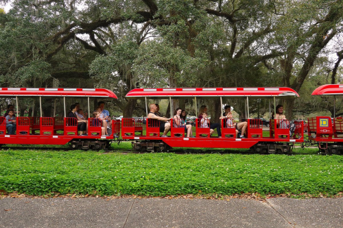 A red train with passengers rides through a lush green area under large trees.