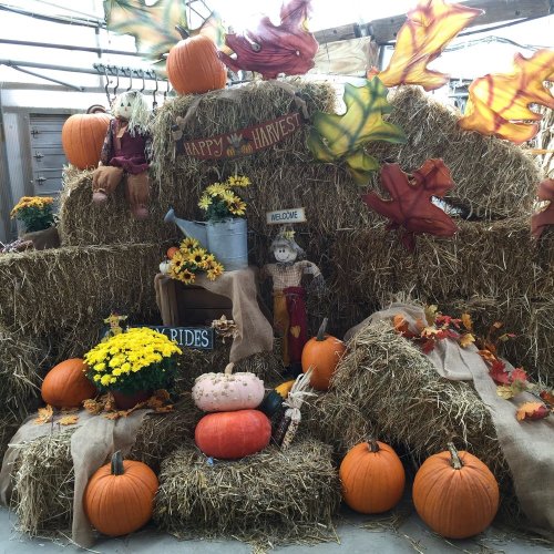 A festive autumn display with hay bales, pumpkins, flowers, and colorful leaves, celebrating the harvest season.
