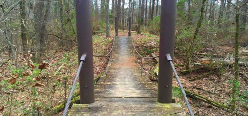 A wooden bridge with metal railings spans a forested area, surrounded by trees and fallen leaves.