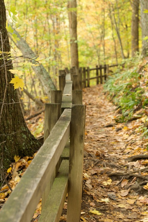 A winding forest path lined with a wooden fence, surrounded by autumn foliage and fallen leaves.