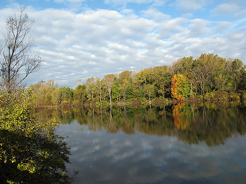 A serene lake reflecting trees and clouds, with hints of autumn colors on the shore.