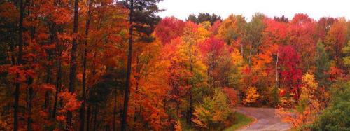 A winding road through a vibrant forest filled with colorful autumn leaves in shades of red, orange, and yellow.