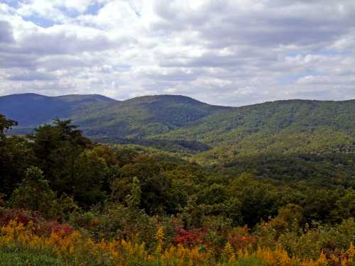 A scenic view of rolling green mountains under a cloudy sky, with vibrant autumn foliage in the foreground.