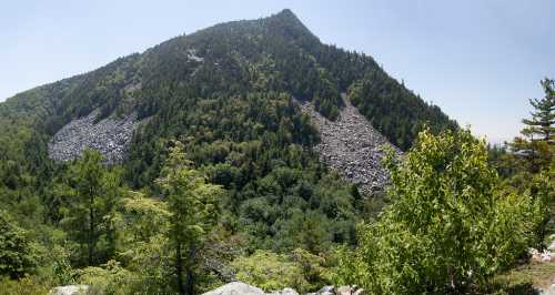 A panoramic view of a forested mountain with rocky slopes and lush greenery in the foreground under a clear sky.