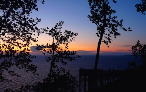Silhouette of trees against a vibrant sunset over the ocean, with a pier visible in the distance.