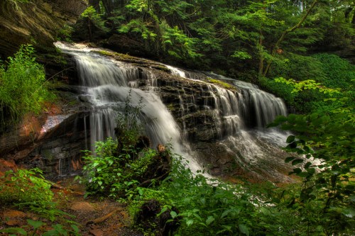 A serene waterfall cascades over rocks, surrounded by lush green foliage and trees in a tranquil forest setting.