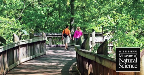 A couple walks hand-in-hand on a wooden bridge surrounded by lush greenery. Logo of the Mississippi Museum of Natural Science.